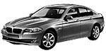 BMW F10 U029D Fault Code